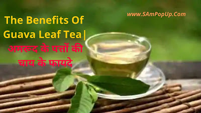 The Benefits Of Guava Leaf Tea | अमरूद के पत्तों की चाय के फायदे