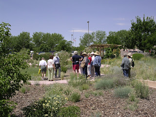 Photo of a group of people in a garden looking at plants