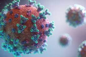 Kasus Flu Burung H3N8 pada Manusia Pertama Kali Ditemukan di China