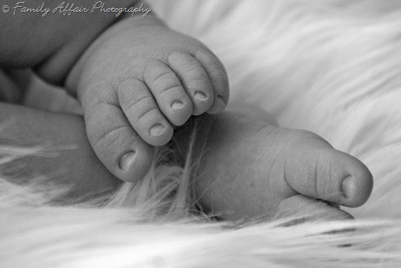 Family Affair Photography