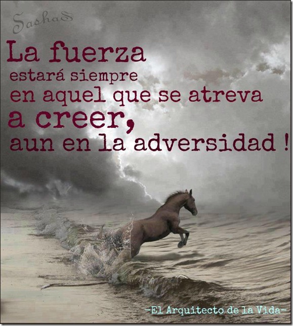 adversidaT