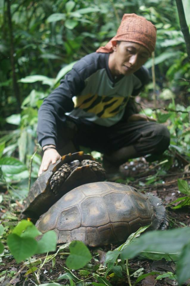 Sekarang Mendaki Puncak Gunung Kerinci Harus Lewati Lembah Kura-Kura Raksasa