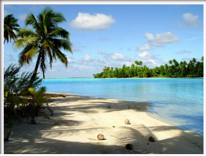 Gambar Pemandangan Pantai dan Pohon Kelapa Gambar Hidup