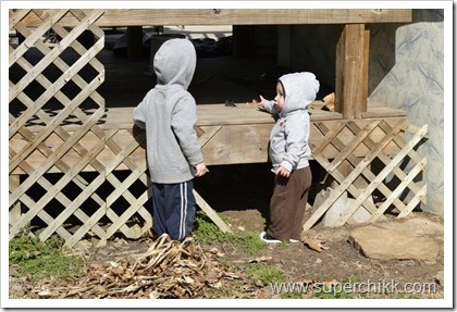 _DSC0029