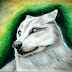 Drawing of a White Wolf