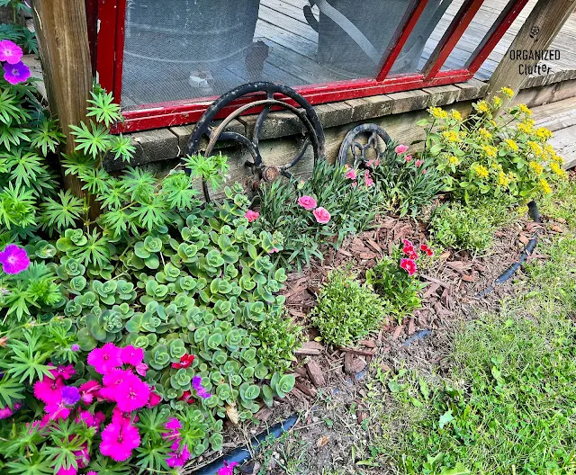 Photo of junk gardening ideas along my deck.