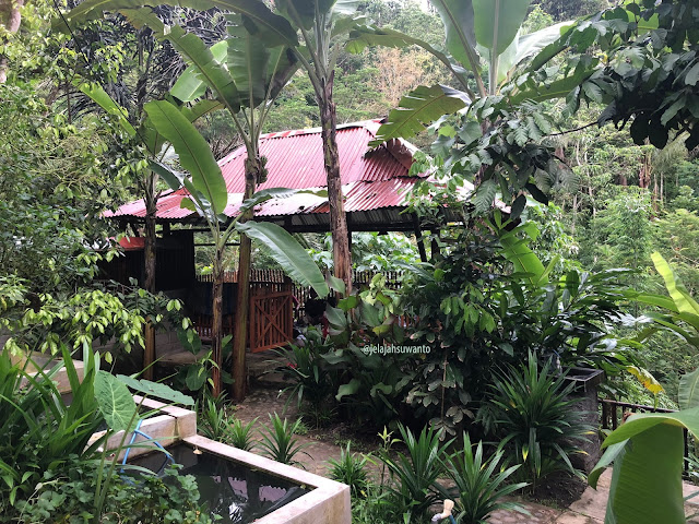 Menyatu dengan alam, saung-saung di Kedai & Produksi Kopi Menoreh Pak Rohmat  ©JelajahSuwanto