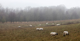 Kemsing Down, 15 December 2015