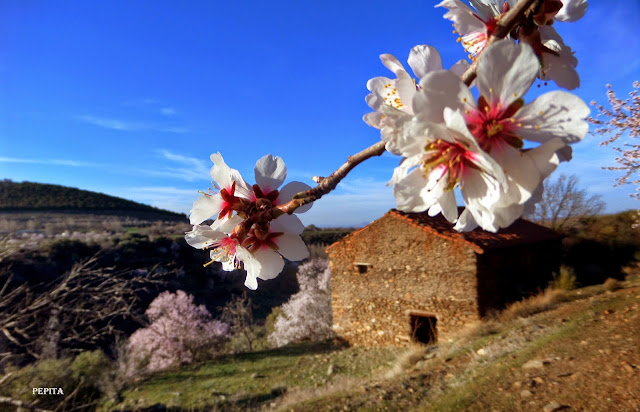 Cortijo Canaria,de Jérez del Marquesado