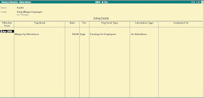 Tally Paroll Salary Details