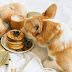 The Ultimate Guide to Urinary Health Dog Food Choices