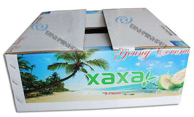 in thùng carton đựng dừa xuất khẩu - 02