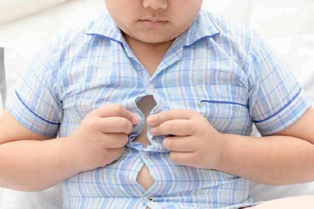 La obesidad en niños es muy peligroso, según un estudio afecta a sus cerebros