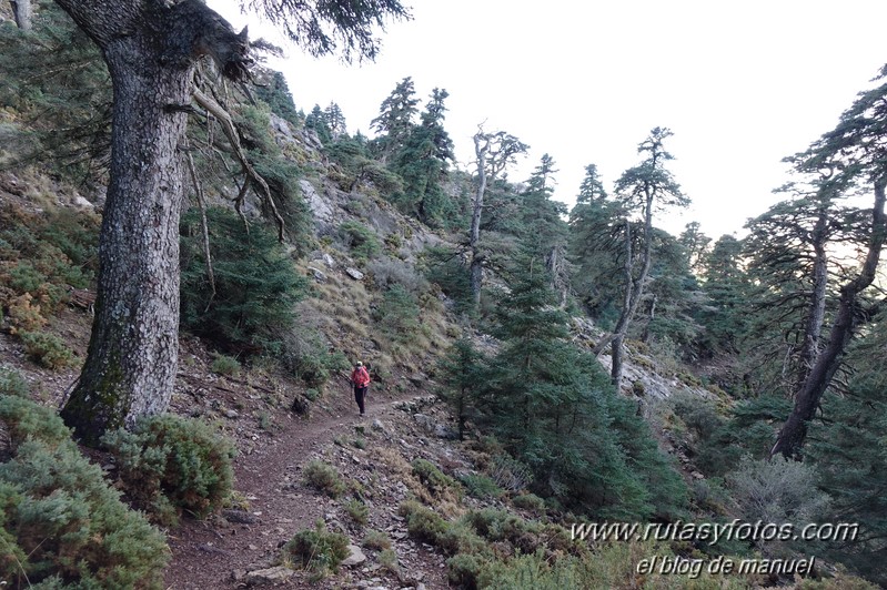 Cañada del Cuerno - Torrecilla - Cañada de las Ánimas