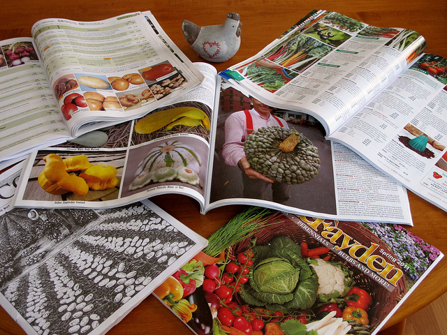 Garden Seeds And Plants Catalogs