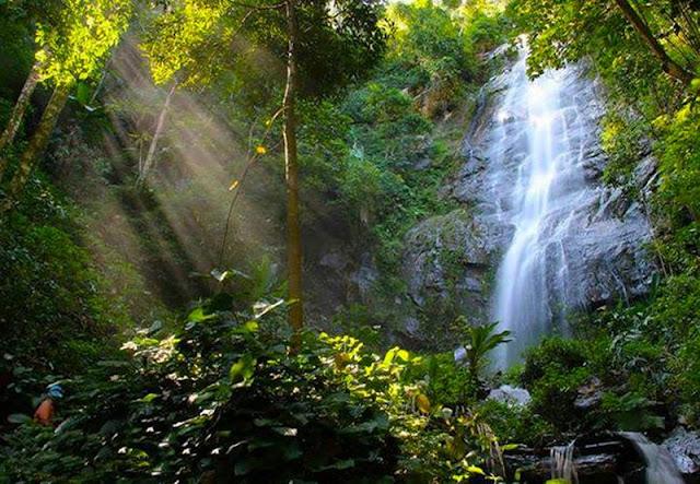 srilanna national park, sri lanna national park, silanna national park, si lanna national park, sri lanna, si lanna