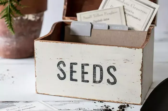 Seed Box, Seed Packet Storage Box, Wooden Seed Organiser, Seed Gift Box,  Seed Storage Box, Engraved Seed Packet Storage, Gardeners Gift, 