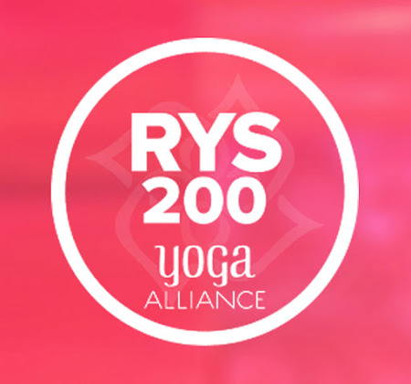 200hr Vinyasa Yoga Teacher Training