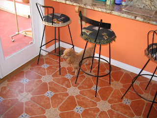 Kitchen Bar Stool Photos