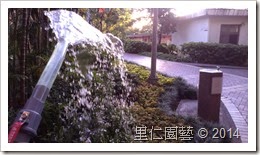 IMAG8559