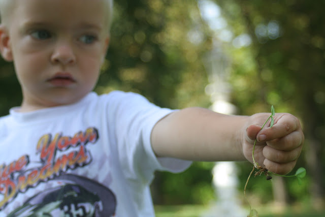 Anton and organic matter!