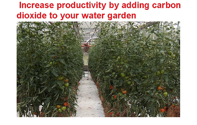 Increase productivity by adding carbon dioxide to your water garden