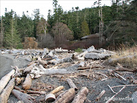 Deception Pass State Park