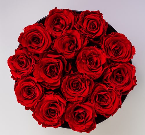 Valentine gift options – Better options than roses from Auraa Luxury Living.