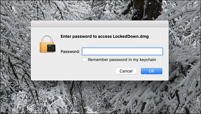 accedere all'immagine del disco fisso con la password
