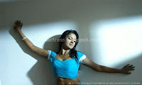 Vimala, raman, hot, navel, pics, in, blue, dress