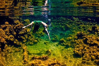 Underwater Photography (21) 6