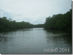 PICT0050