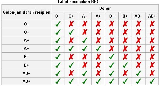 Nine Step To Success: Rhesus Negatif