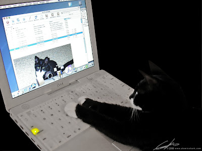 mac kitty by atomicshark from flickr (CC-NC-SA)