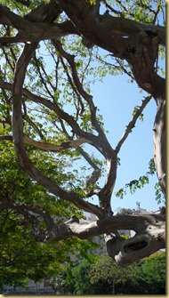 SAM_0255