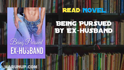 Read Being Pursued By Ex-husband Novel Full Episode