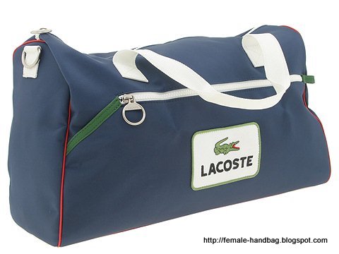 Female-handbag:female-1219035