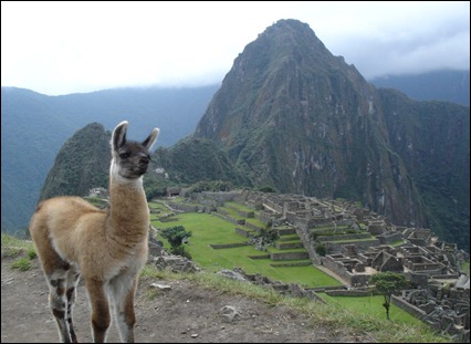 Machu-Picchu5