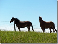 Cowboy Trail, AB