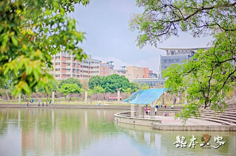 心湖櫻緣｜三峽台北大學「心湖櫻花步道」-杜鵑、吉野櫻、木棉花齊綻放