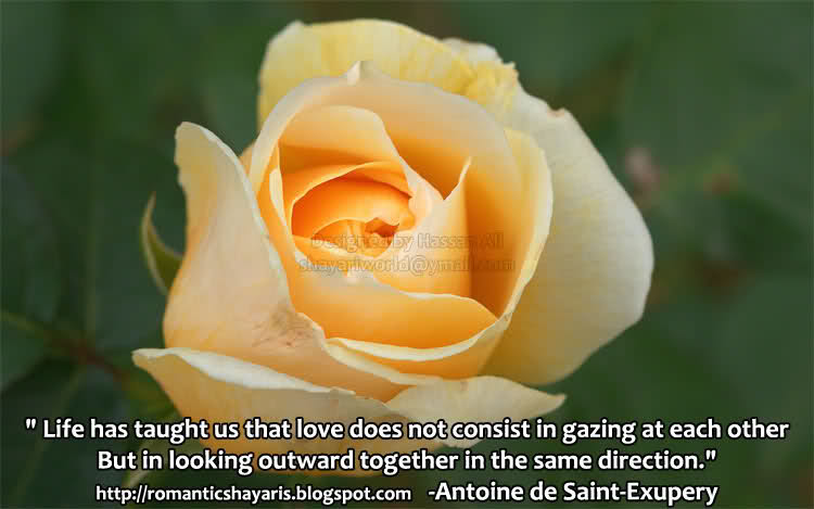 quotes about love and relationships