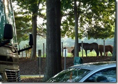 Neighbors at Tanglewood
