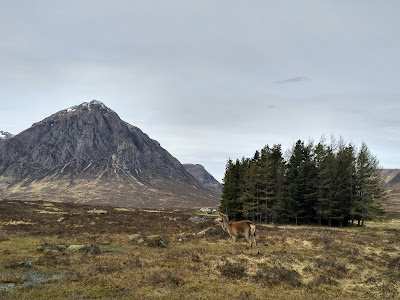 escocia highlands que ver