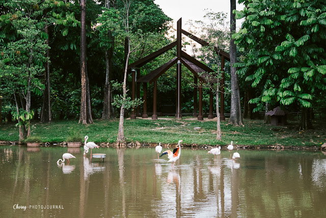 putrajaya wetland recreation park taman wetland