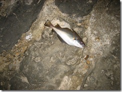 IMG_0685 IMG_0685