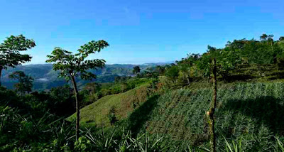 Guatemala Countryside