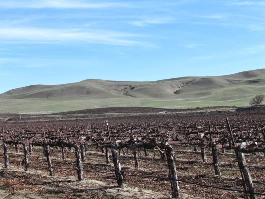 ScenesDrivingtoTTSanBenito-1-2014-03-7-21-51.jpg