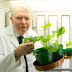  University of Nottingham, New technology enables crops to get nitrogen from air