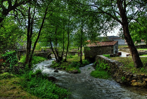 fonte