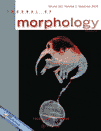 Journal of Morphology cover